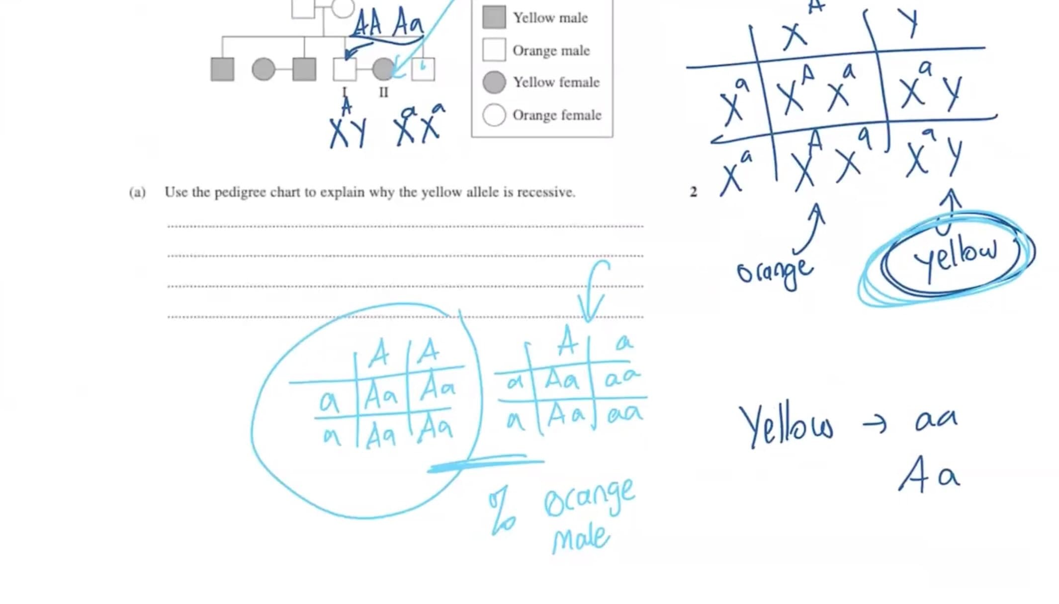 Example lesson notes