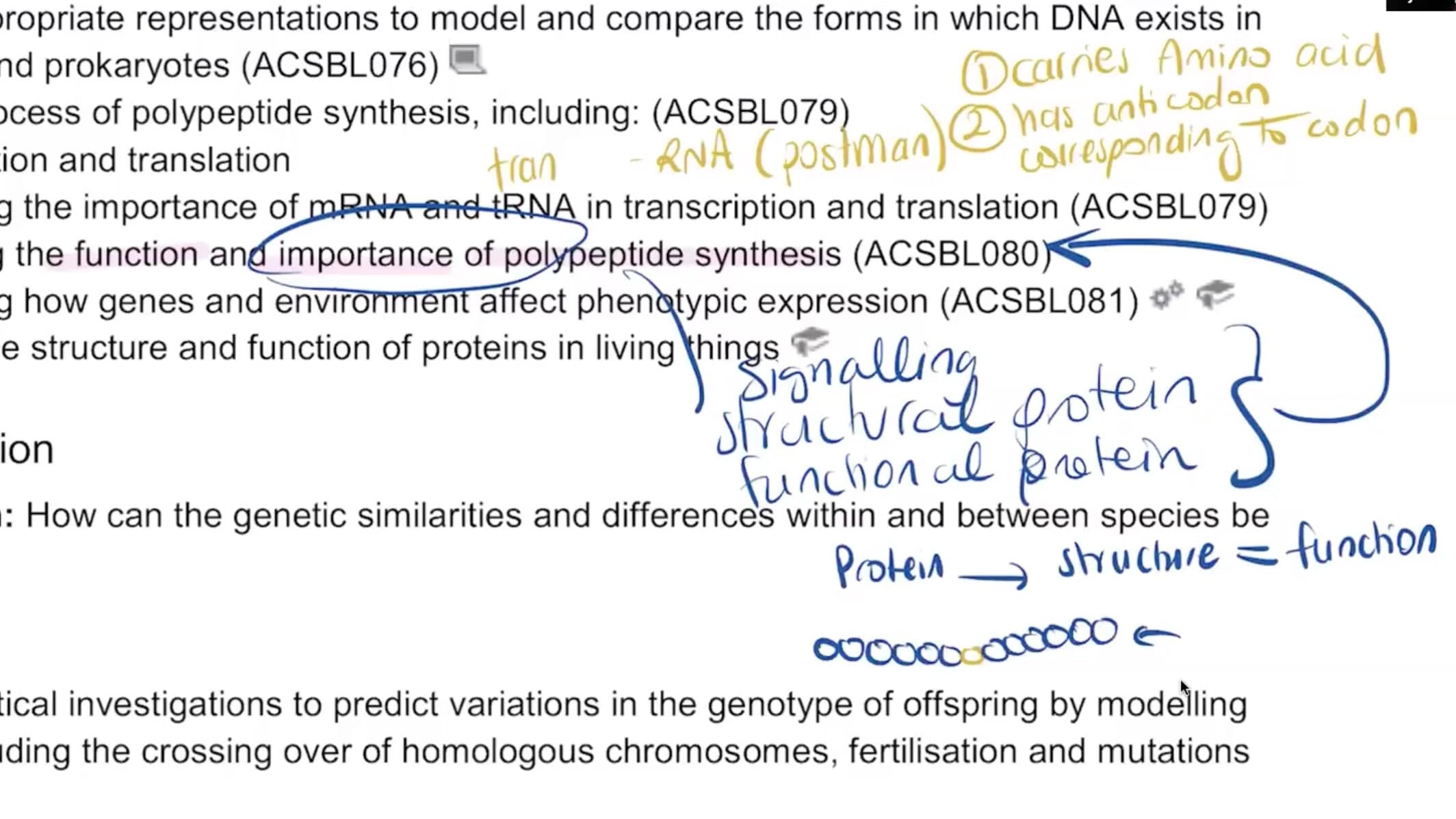 Example lesson notes
