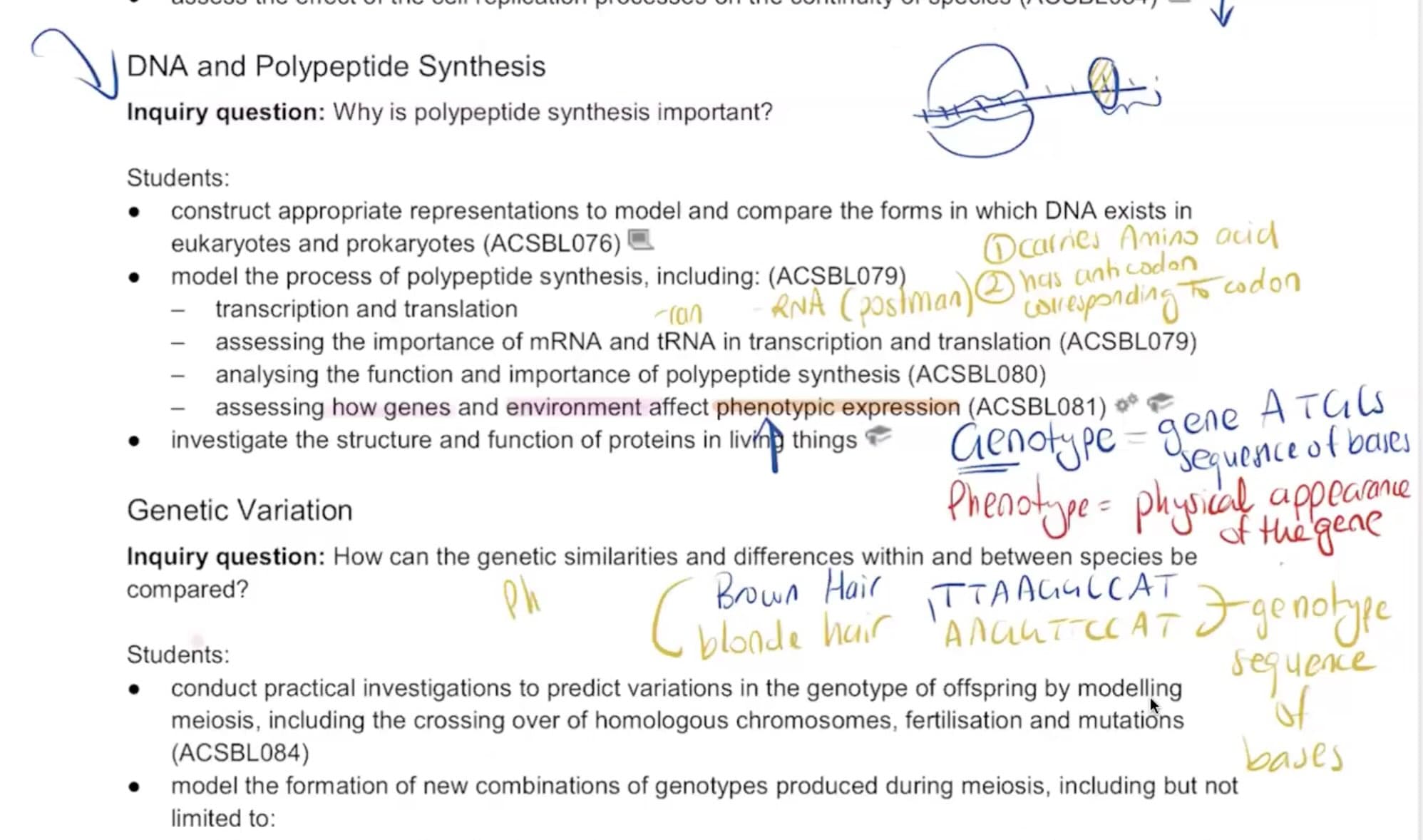 Example lesson notes